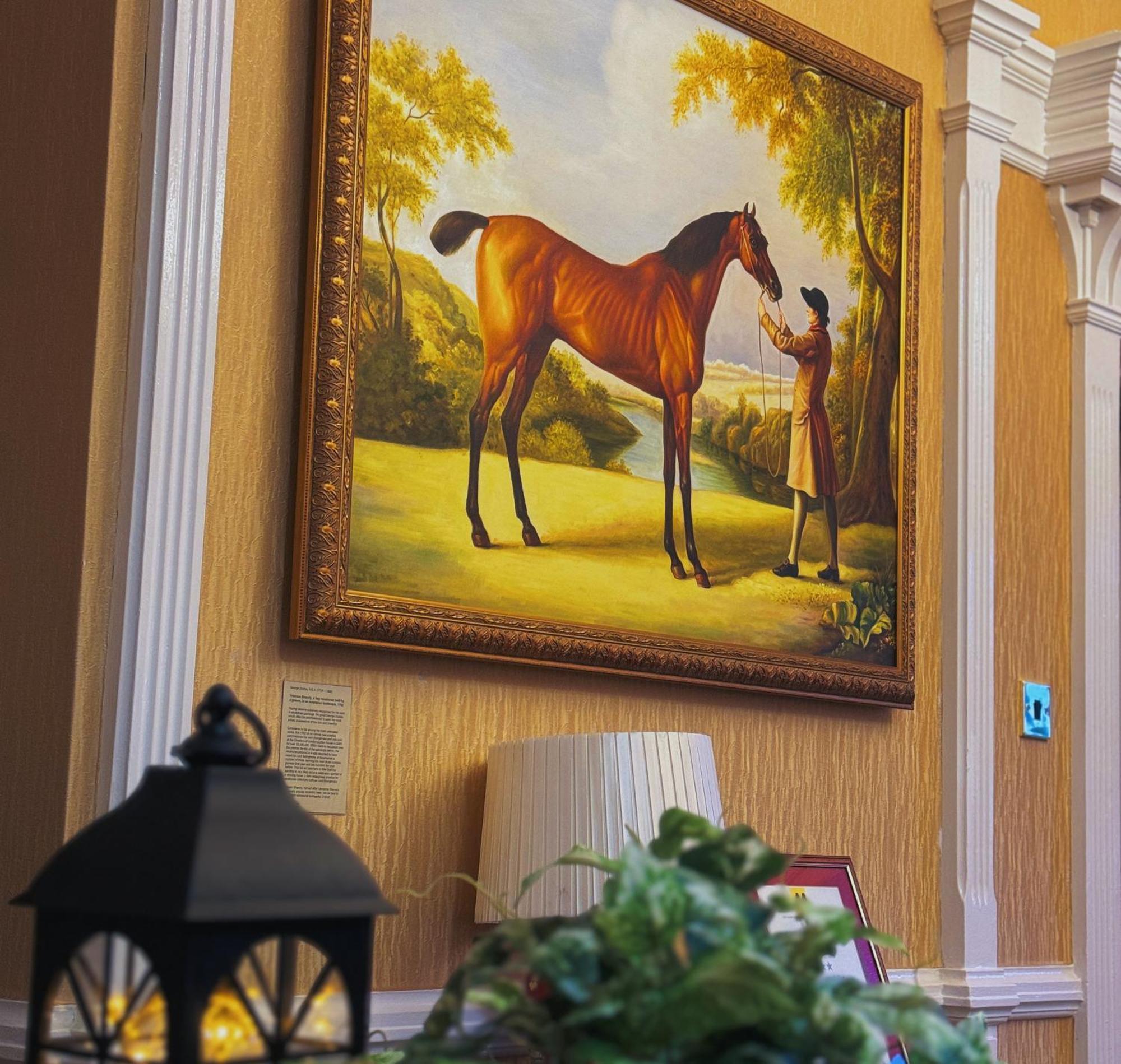 The Robin Hill Bed & Breakfast Торки Екстериор снимка
