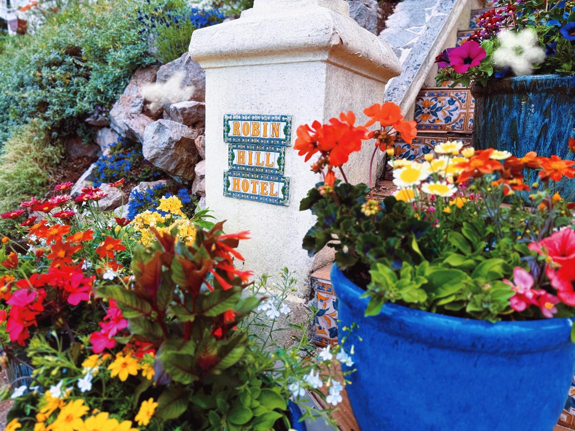 The Robin Hill Bed & Breakfast Торки Екстериор снимка