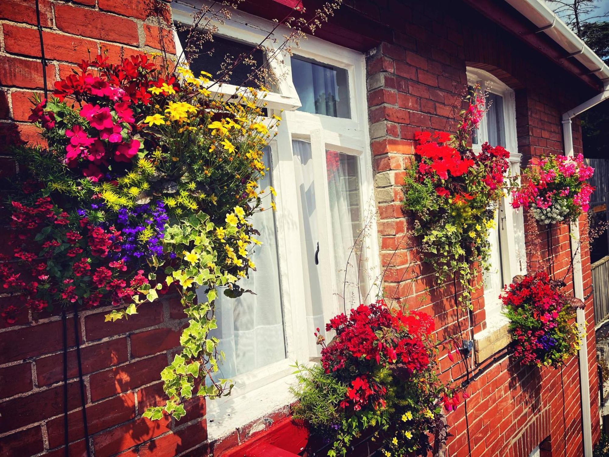 The Robin Hill Bed & Breakfast Торки Екстериор снимка